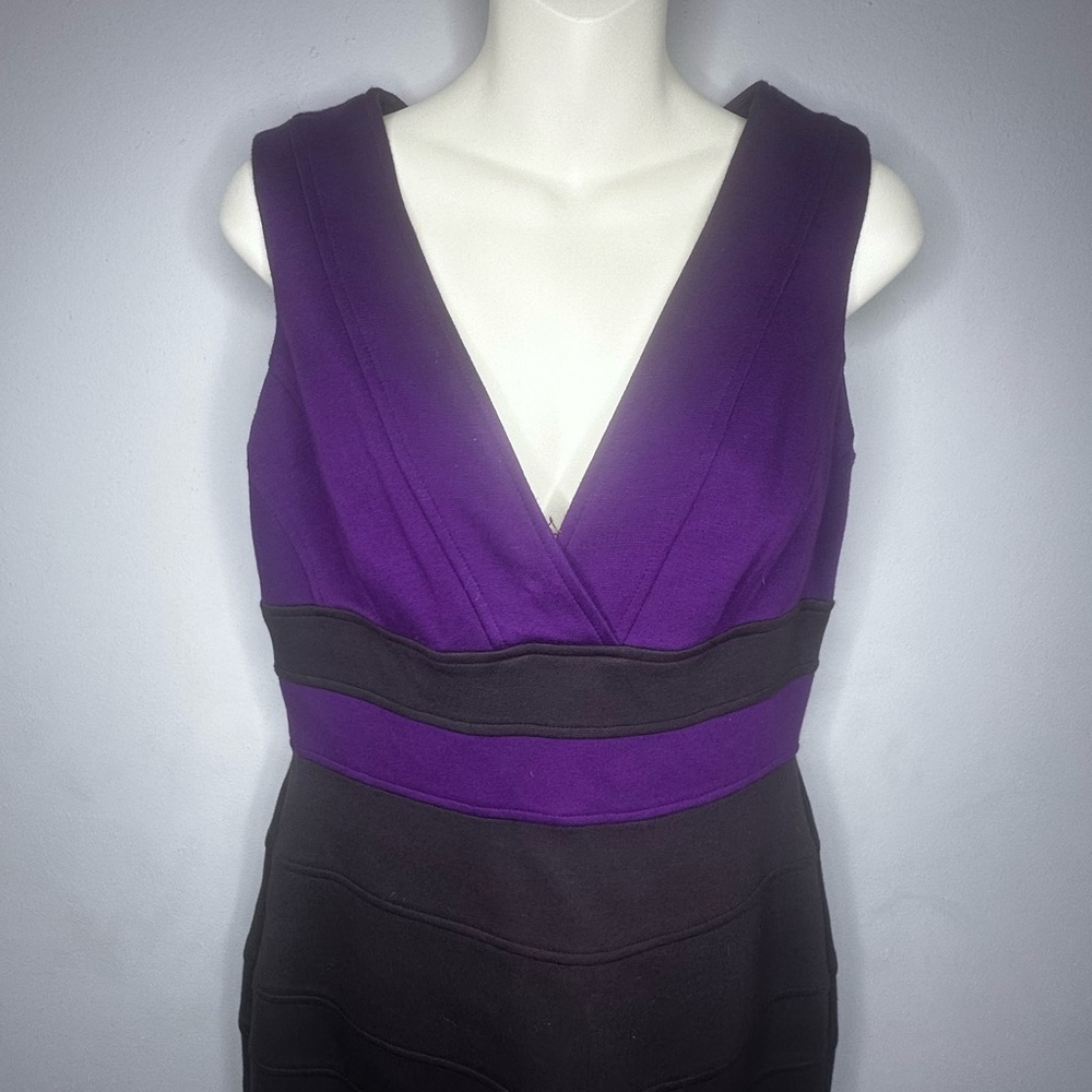 Maggy London Purple and Red Sheath Mini Dress